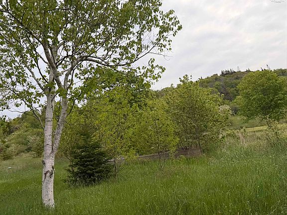 4th image of 262 Trout Cove Rd