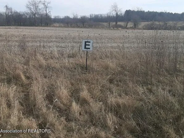 0 Montels Way Parcel E, Charlotte, MI 48813