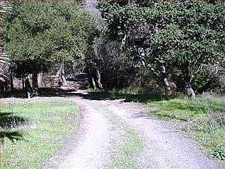 1st image of 6389 Miller Ave