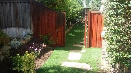 Side yard view with fruit trees