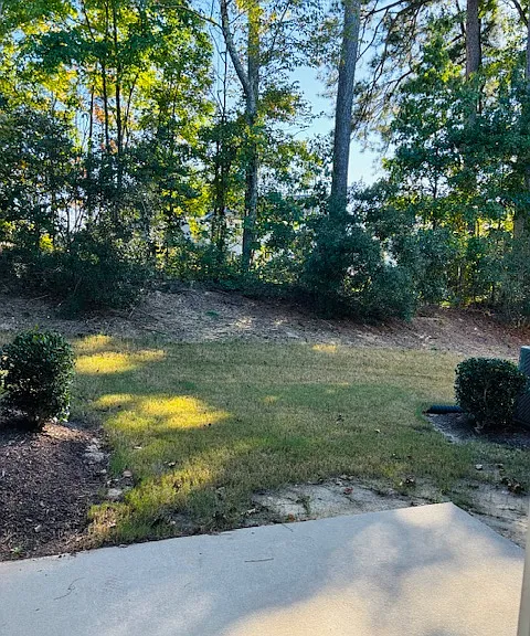 2529 Sunnybranch Ln — Photo 19