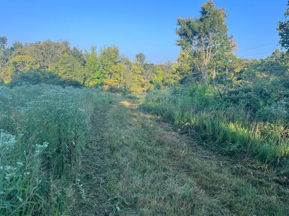 Seagraves Rd, Pocahontas, AR 72455