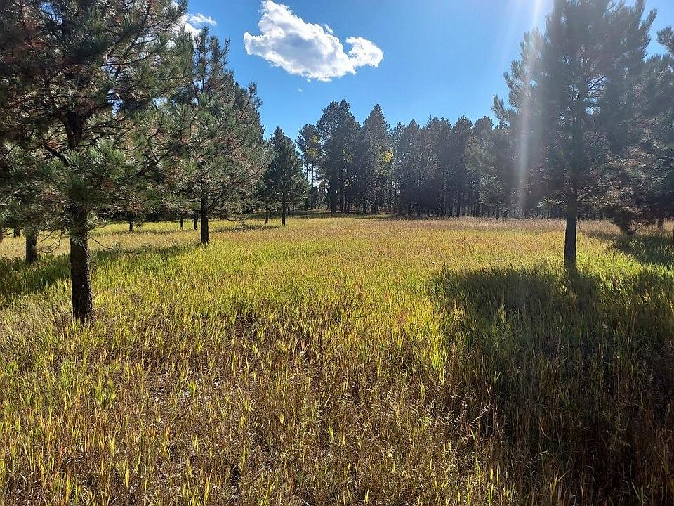 21661 Gold Dust Trl, Nemo, SD 57759 Zillow