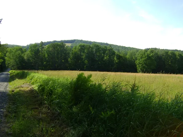 0 Miller Pond Road, Strafford, VT 05072