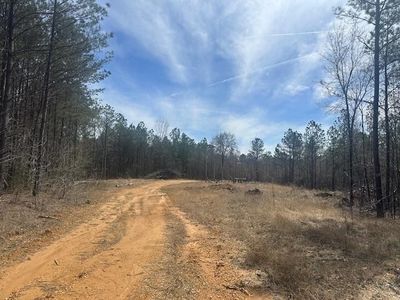 0 Fisher Ln, Shiloh, TN, 38376