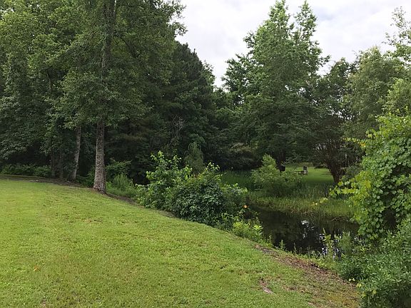 Pond adjacent to home