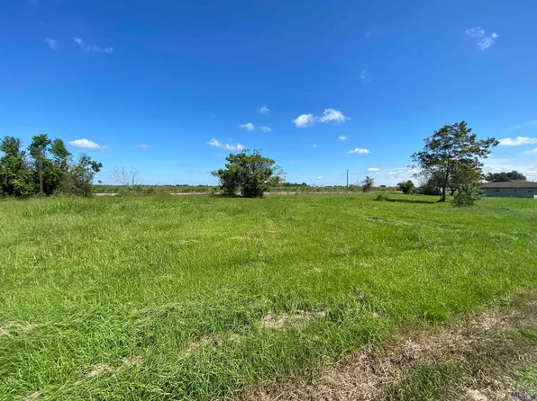 3666 State Highway 44, Paulina, LA 70763