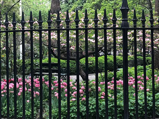 Rented by Douglas Elliman | media 12