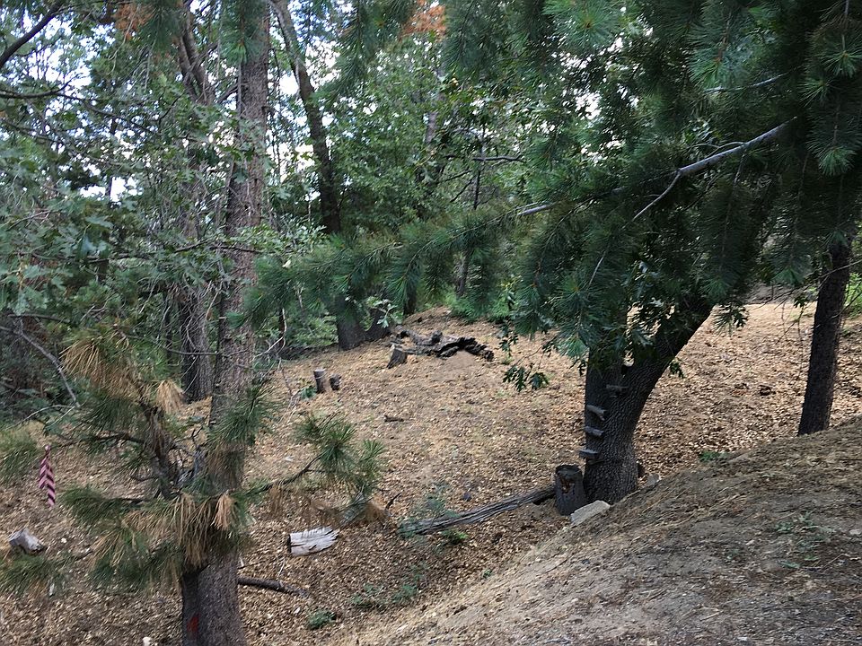 2nd image of Cedar Ct