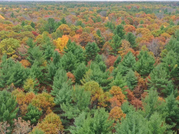 XXX Benson Road, Grantsburg, WI 54840