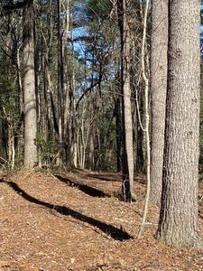 5 Breeze Hill Rd, North Wilkesboro, NC, 28659