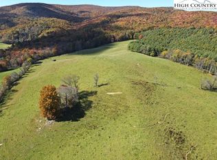 Tbd Low Gap Rd, Troutdale, VA 24378