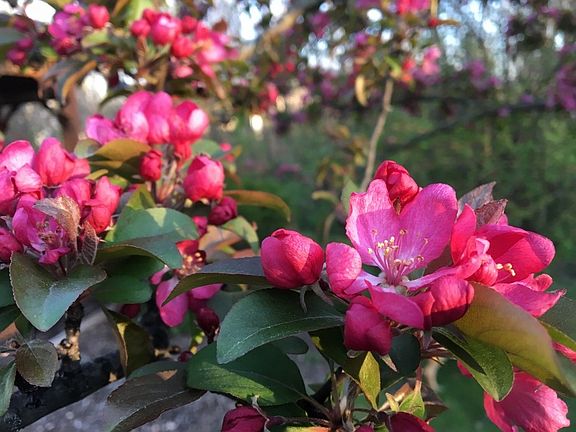 Flowers, Flowers & More Flowers On-Site!