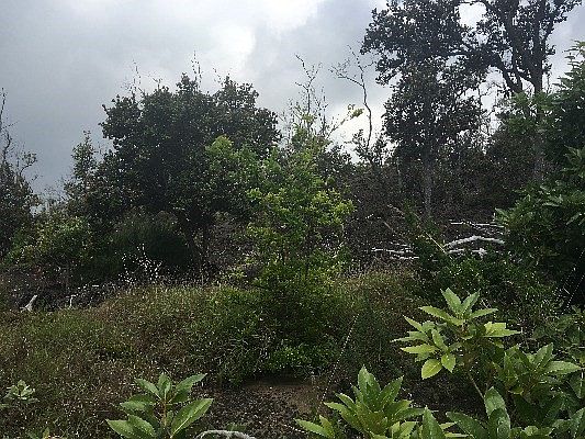 1st image of 92-2225 Kailua Blvd Lot 33