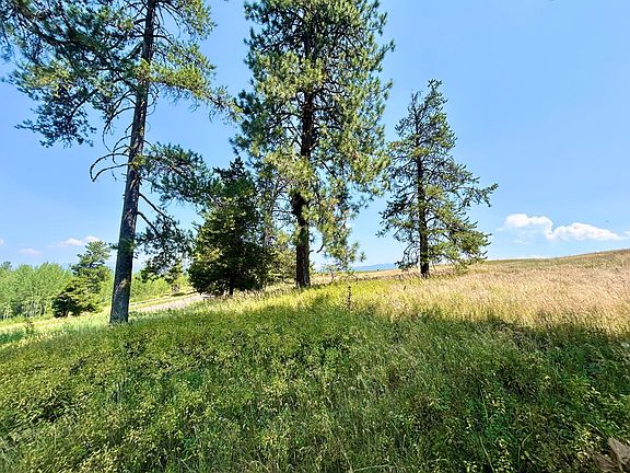 4th image of 35 Wood Run Trl