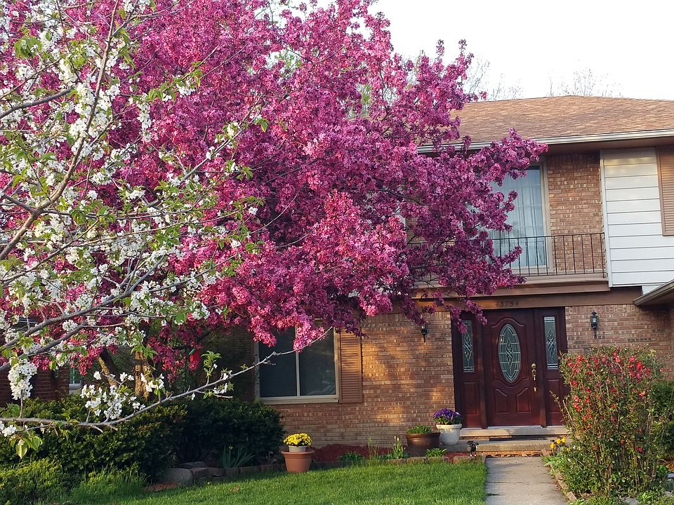 2nd image of 43754 Leeann Ln
