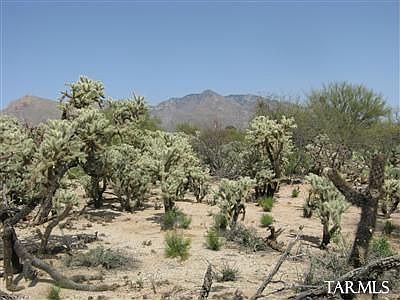 2nd image of 6869 N Maria Pl