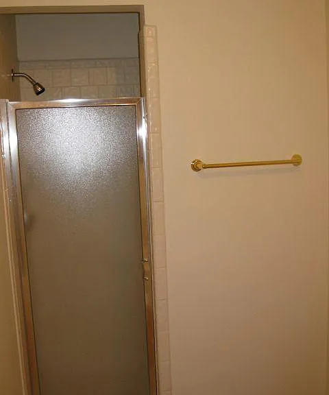 Master Bath Shower