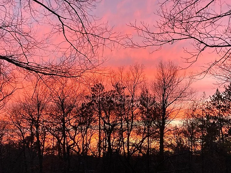 Ridge Ln — Photo 4