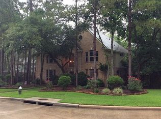 2 Acadia Branch Pl, Spring, TX 77382