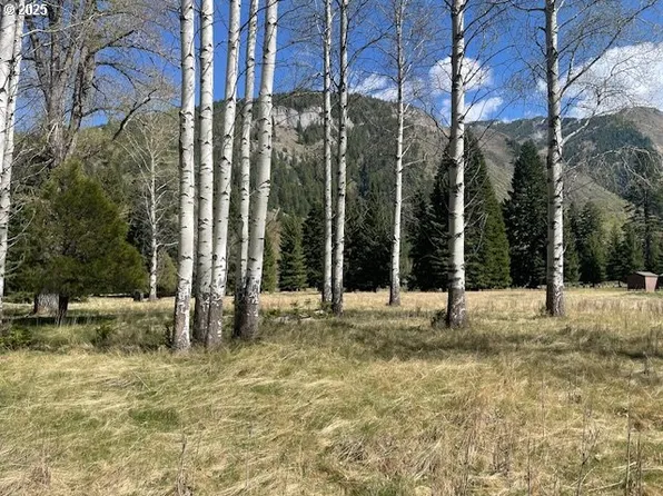 Granger Rd, Lostine, OR 97857