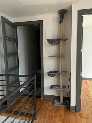 Rented by Brooklyn Group | media 19