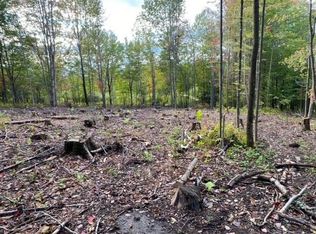 61 Therriault Hill Rd #4, Williamstown, VT 05679