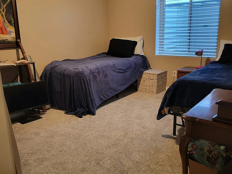 Basement Bedroom