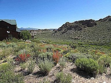 2nd image of 0 Sierra Springs Dr #42