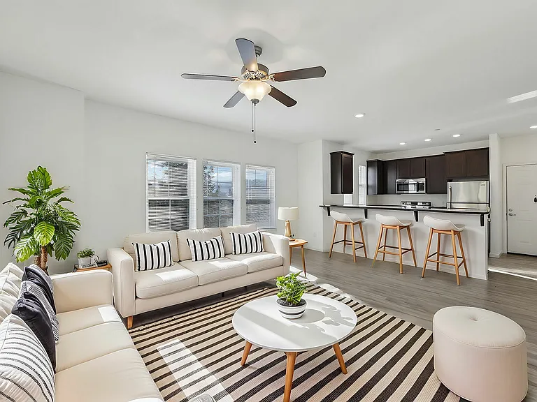 Living Room Furnished