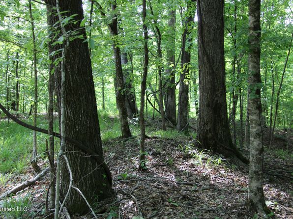 Henderson Rd, Bentonia, MS 39040