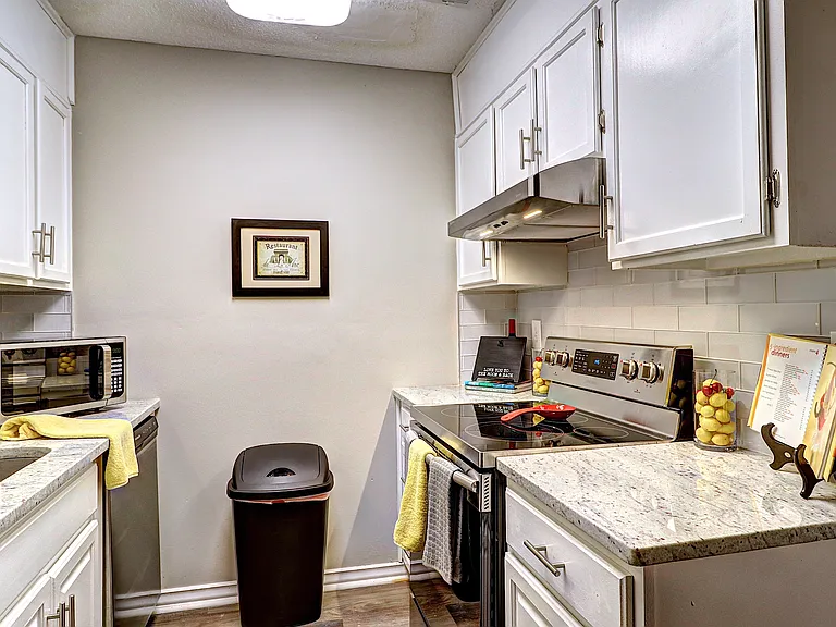 213 High Creek Dr — Photo 10