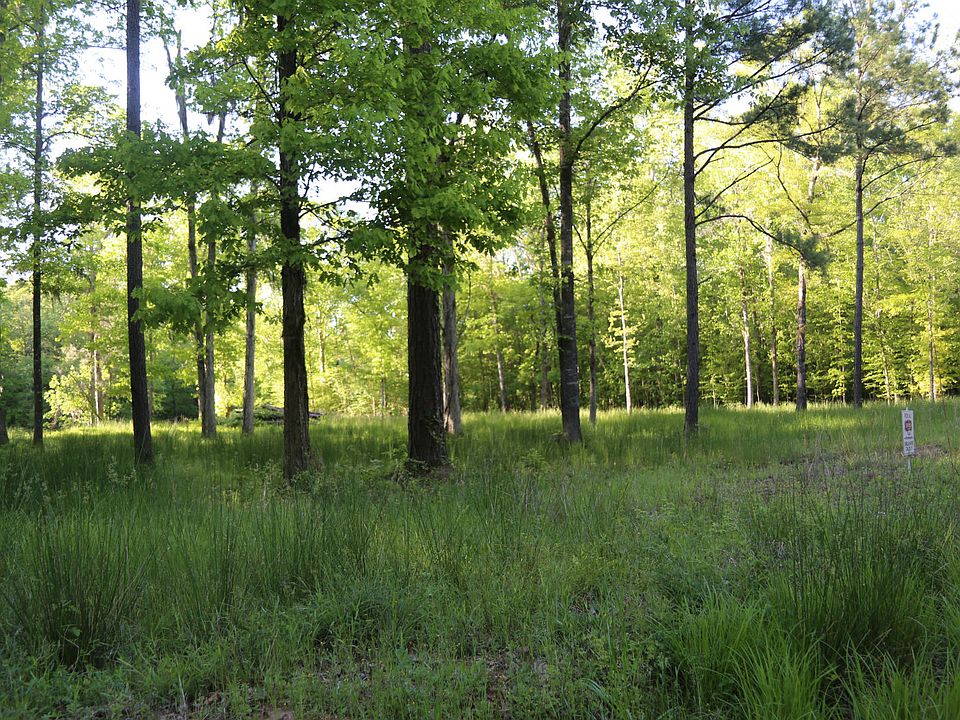 2nd image of Red Eagle Rd