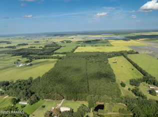 Jolene Rd, Basile, LA 70515