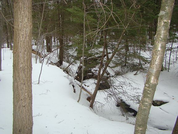 Part of the Property
