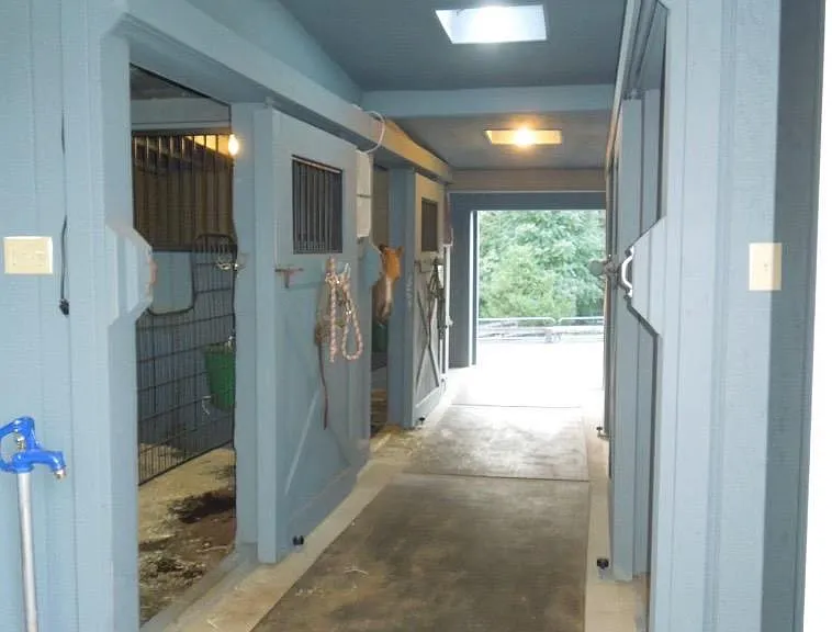 409 Cook Mountain Dr — Photo 10