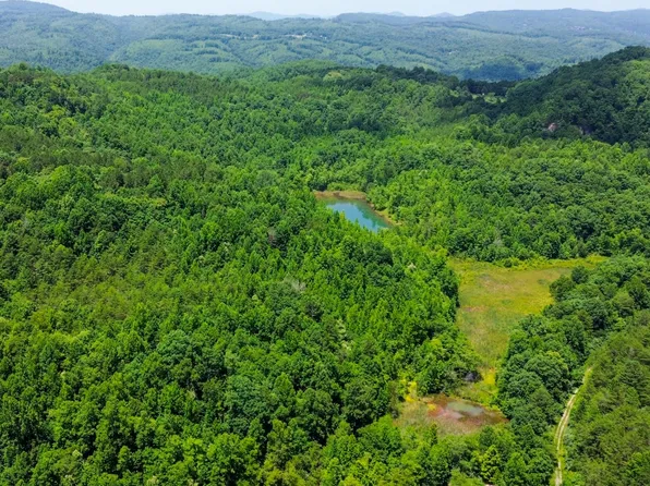 2 Little White Oak Rd #5, Duff, TN 37729