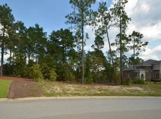 320 Bluestem Dr, Elgin, SC 29045