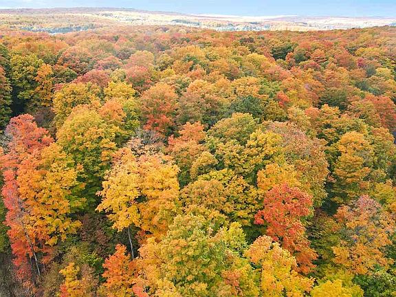 2nd image of 3395 Needles Dr Lot 26 & 27