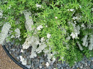 3151 Germond Rd, Rhinelander, WI 54501