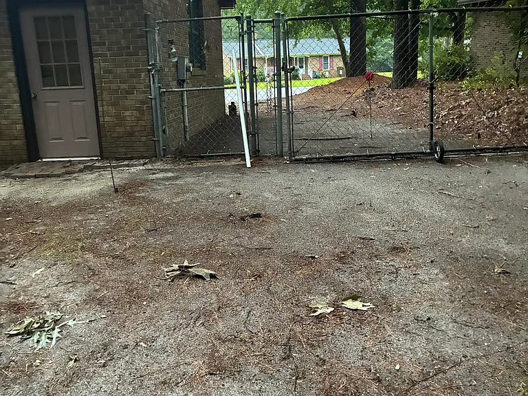 View from backyard fence to street