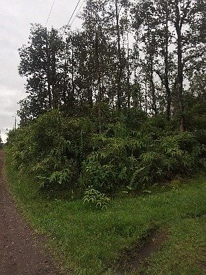 2nd image of Road 2 Lot 2765