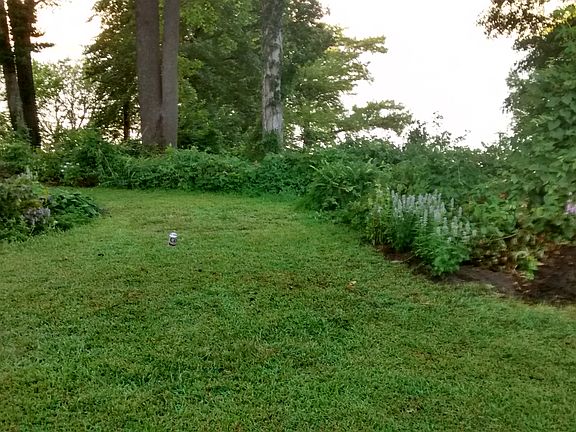 Backyard with river overlook