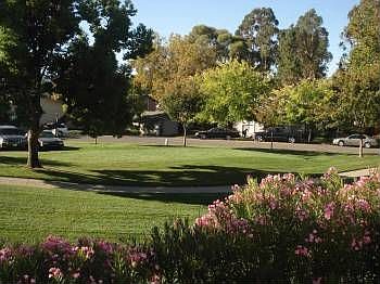 3rd image of 409 Holiday Hills Dr