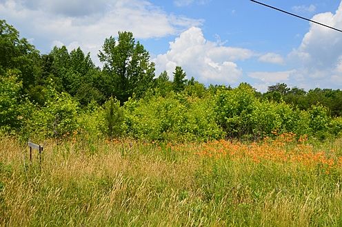 1st image of 5546 N State Highway 119