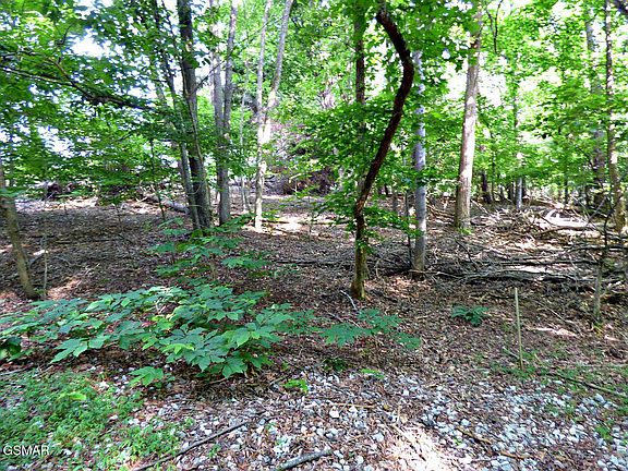 3rd image of 6 Cove Springs Dr Lot 6