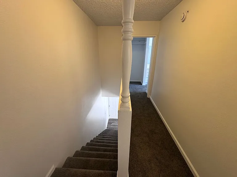 5245 Golden Ln — Photo 18