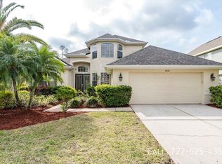 11636 Renaissance View Ct, Tampa, FL 33626