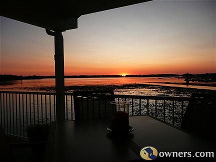 Sunrise From Cement Patio