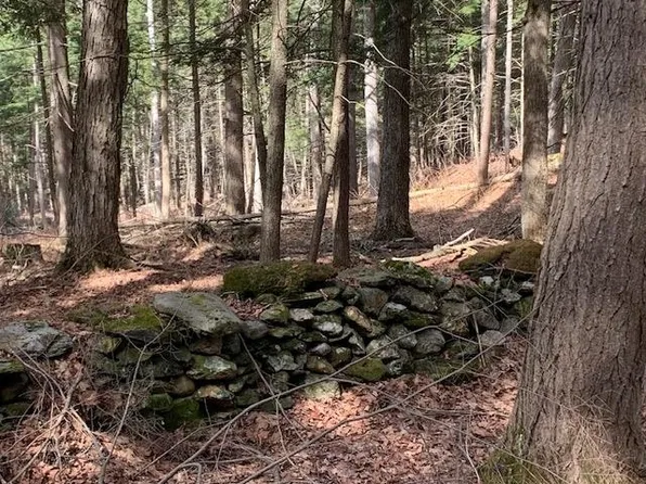 0 Lovejoy Road, Royalton, VT 05068